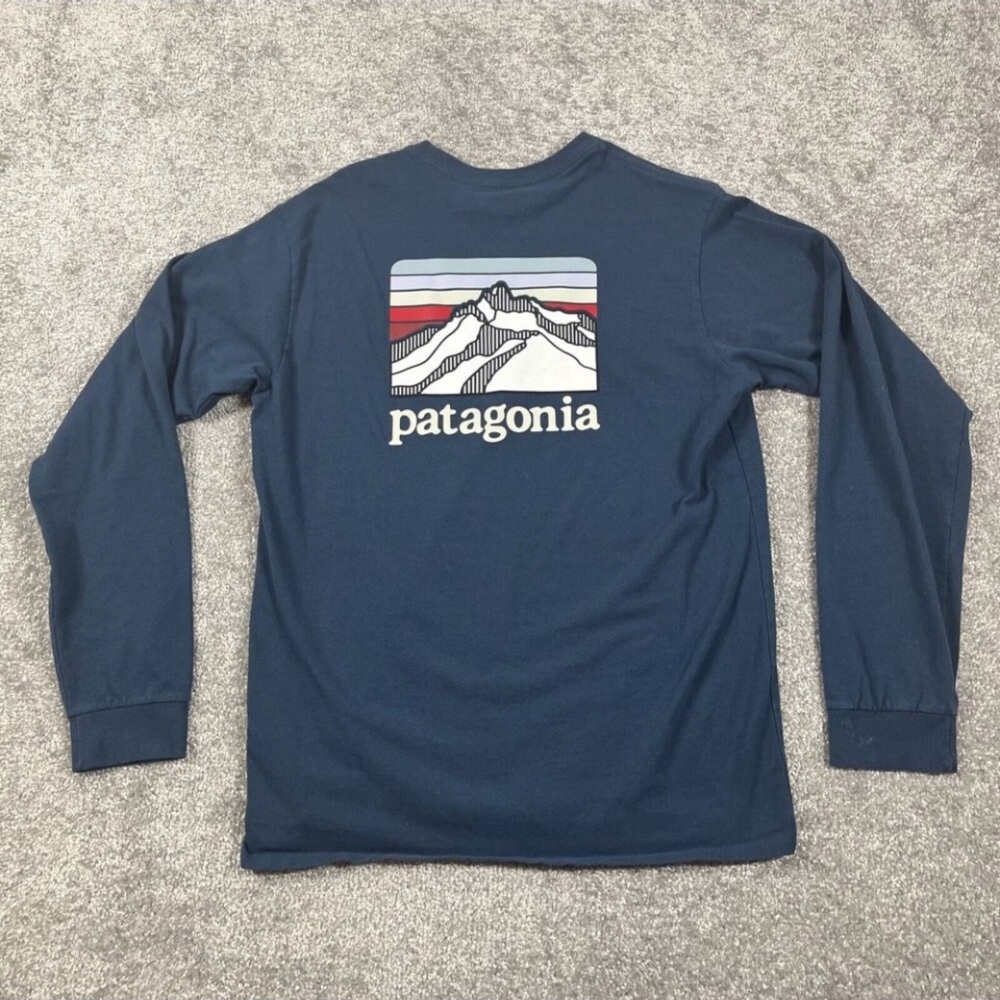 Patagonia Blue Short Sleeve Tee with Mountain Graphic - Picture 4 of 12